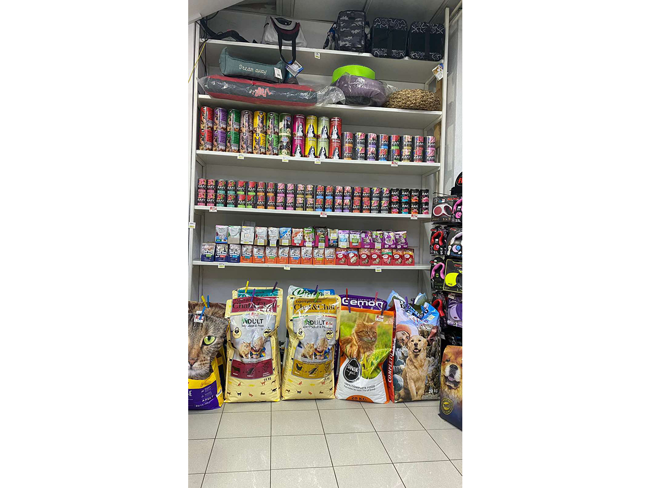 PET SHOP RAMONDA Kućni ljubimci, pet shop Palmira Toljatija 5, Novi