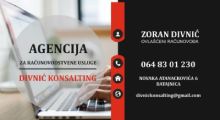 ACCOUNTING AGENCY DIVNIC CONSULTING