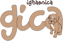 DEČIJA IGRAONICA I ROĐENDAONICA GICA - Детские игровые площадки Beograd - Фото logo 