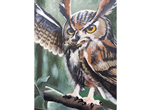 CAFE & DEČIJA IGRAONICA ĆUK