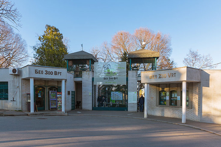 Žestoki momci s one strane rešetaka: Najpoznatija bekstva iz beogradskog ZOO vrta