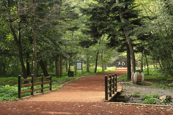 Beogradska šuma usred Carigrada