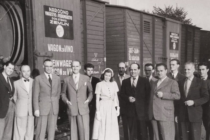 NAVIP - Svedok razvoja vinarstva u Zemunu