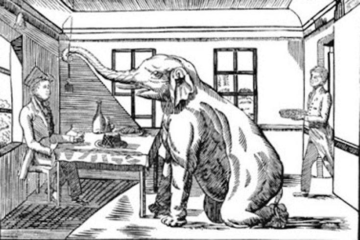 Kako je jedan slon doneo skupoću u Beograd