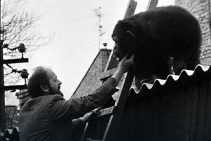 Vukosav Bojović - Vuk koji je sačuvao životinje