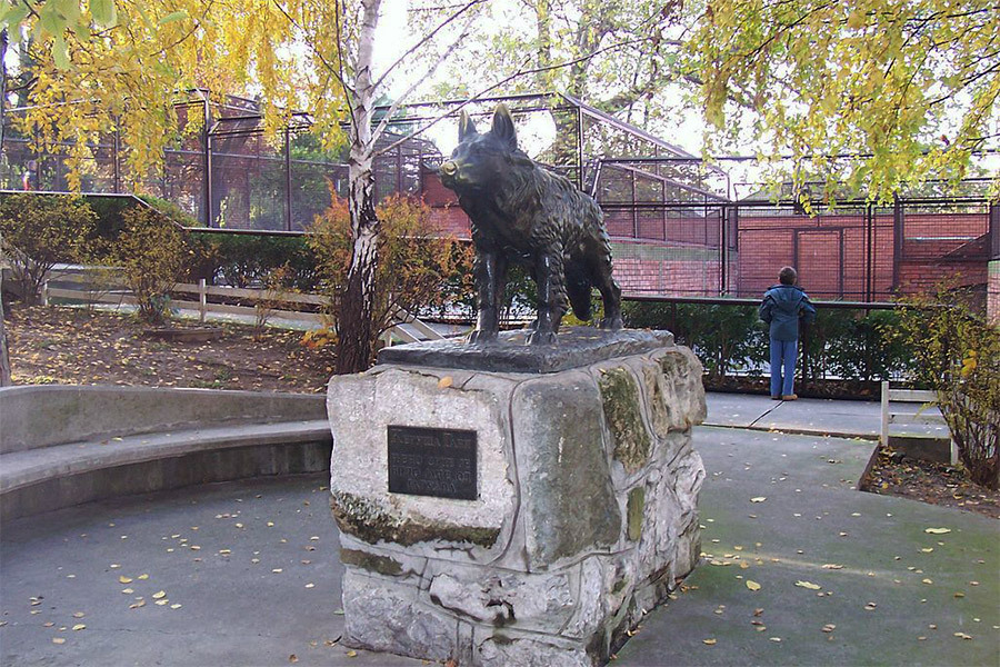 Keruša Gabi – hrabro srce beogradskog Zoo vrta