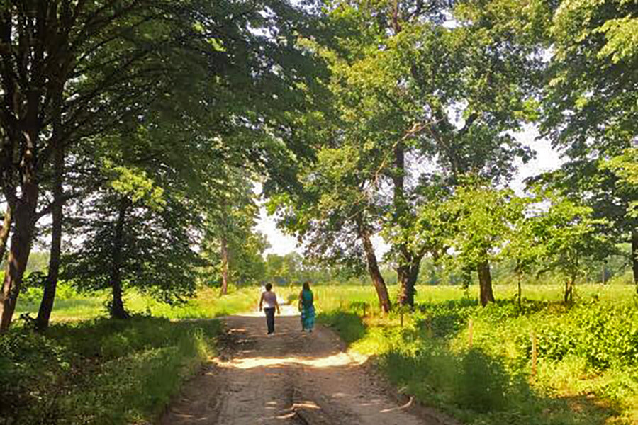Izletišta u Beogradu i okolini (1) – Zelene oaze na 30 minuta od centra