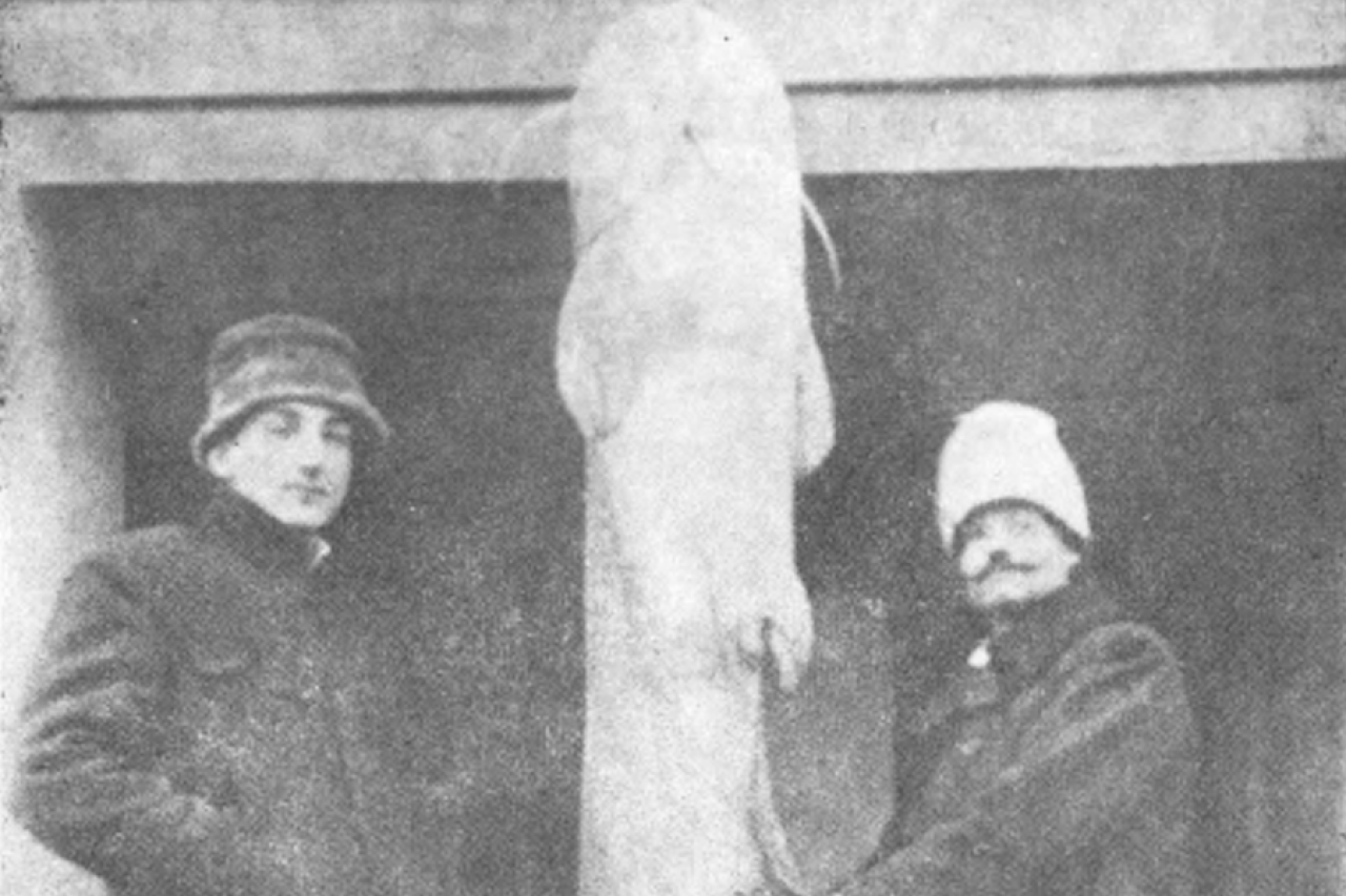 Vreme kada su Dunavom plovili “kitovi”