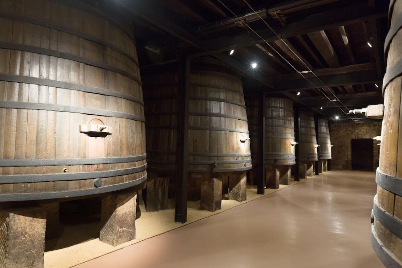 Vinarija Mozer: preteča posleratnog giganta (1. deo)