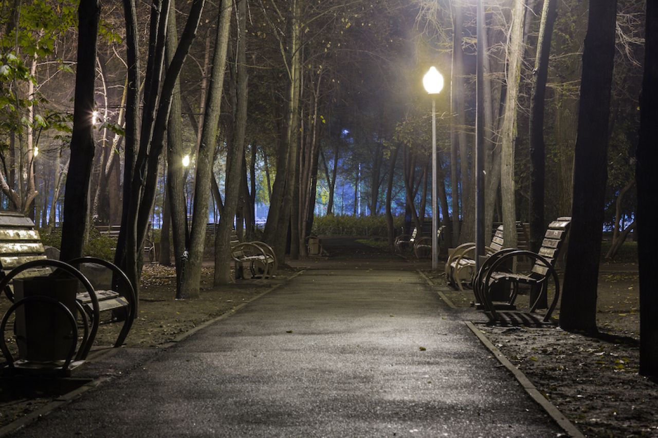 Da li ste znali da je jednog leta u Bregovitoj ulici u Zemunu živeo Fredi Kruger