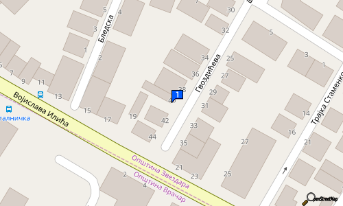 CENTAR ZA SLUH I GOVOR 40 Gvozdiceva st., Vracar