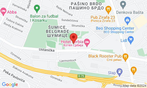 ŠTAMPARIJA PRINT SHOP KOLIBRI Ustanička 127b, Voždovac