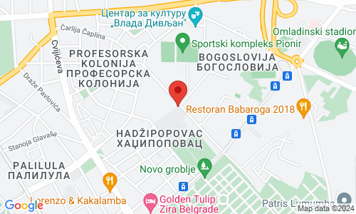 GREEN PET VET VETERINARSKA AMBULANTA Preradovićeva 4 (ulaz iz Čarli Čaplina), Palilula