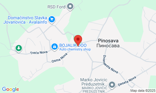 ПИЦЕРИЈА МИКЕЛАНЂЕЛО Ђурђије Цветић 105, Пиносава