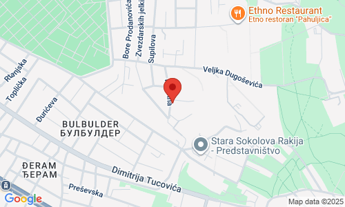 SPORTSKA AKADEMIJA KOČOVIĆ Pančina 9, Zvezdara