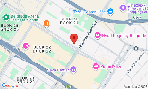 SUSHIDREAM 6a Bulevar Zorana Djindjica st., Novi Beograd