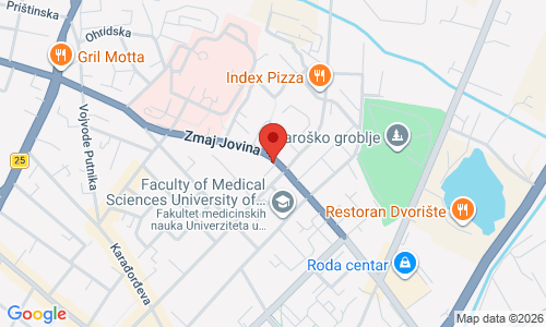 INDIJSKI RESTORAN SPICE Zmaj Jovina 9, Kragujevac